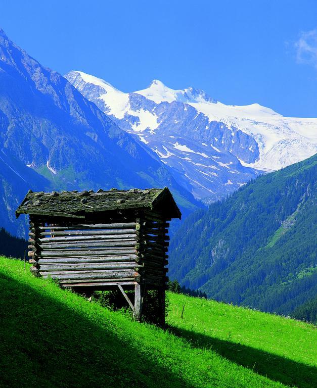 Apartament Haus Egger Neustift im Stubaital Zewnętrze zdjęcie